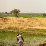 Our Land, Our Future