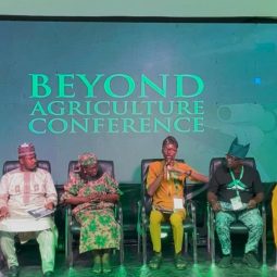 Ajibola Food security 1